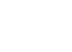 TFF laurel white 2016